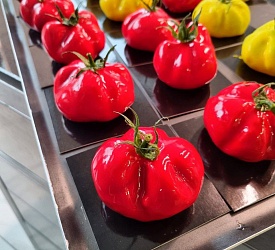 Москва. Пирожные в виде ягод, фруктов и овощей. 2 дня  